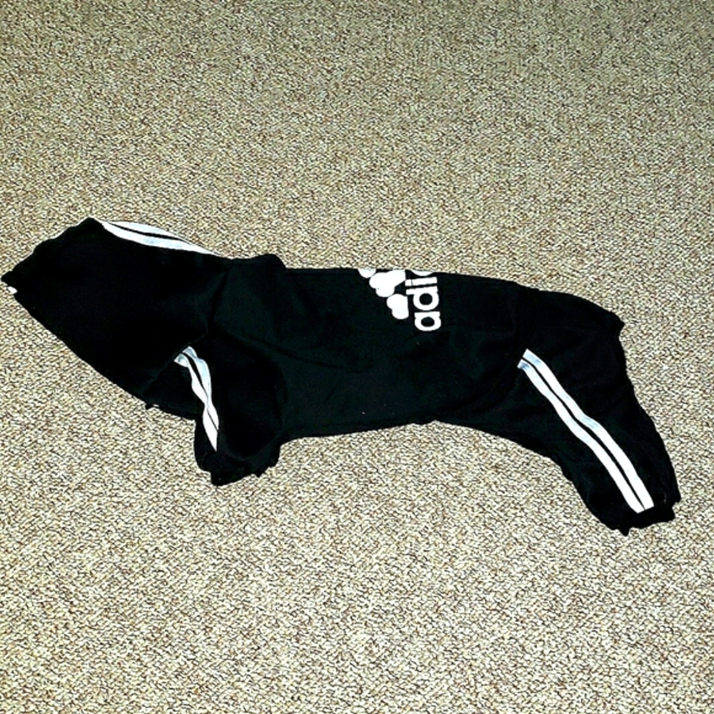 Adidog dog hooded sweatshirt outfit